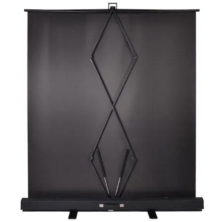 Portable Floor Stand Retractable Projector Screen 60" 4:3